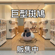 將圖片載入圖庫檢視器 咕姑固(部分現貨)珠頸斑鳩發聲公仔/掛飾