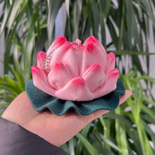 Load image into Gallery viewer, Lotus (ships in March) talking plush toy