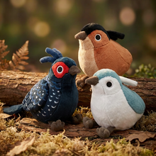 Load image into Gallery viewer, [Taiwan Exclusive] Taiwan's Three Treasures (Audio) - Shipping in June
