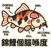 Load image into Gallery viewer, Koi T-Shirt
